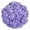 Purple, variant on Member's Mark Color Enhanced Hydrangeas, 20 stems, choose color