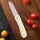 thumbnail image 5 of Wholesale Household Stainless Steel Folding Fruit Knife Portable Fruit Knife Outdoor Portable Peeling Mini Knife, 5 of 6