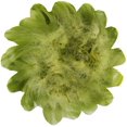 thumbnail image 1 of 450 Pieces Green Feathers for Craft Wedding Home Party Decorations, 3-5 Inches Green Craft Feathers, 1 of 7
