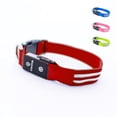 thumbnail image 1 of Collar para perro con luz LED Tractive recargable USB impermeable rojo, 1 of 1