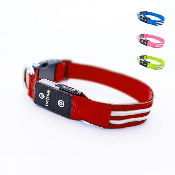 Collar para perro con luz LED, tracción, USB, recargable, resistente al agua
