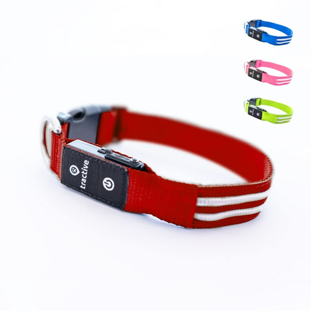Collar para perro con luz LED Tractive recargable USB impermeable rojo