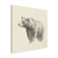 thumbnail image 2 of Trademark Fine Art 'Western Bear Study' Canvas Art by Ethan Harper, 2 of 4