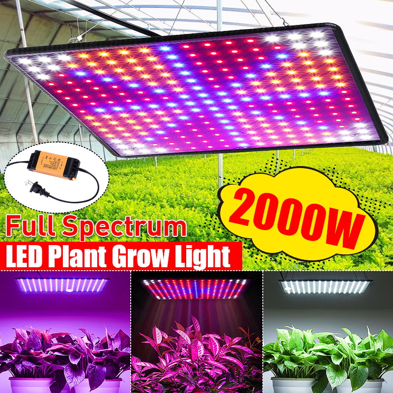 2000W Full Spectrum LED GROW LIGHT Lampada Per Idroponica Con Interruttore Veg Bloom 