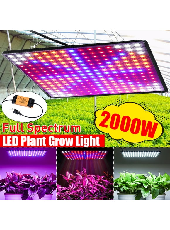 Grow Light Bulbs in Light Bulbs