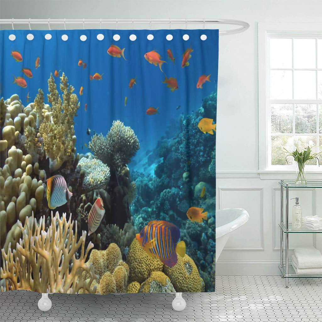 KSADK Blue Coral Reef Red Aquarium Underwater Maldives Scene Sea Under
