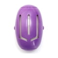 thumbnail image 2 of Reusable Lint Roller, Dog Hair Remover, Cat Hair Remover, Reusable Washable Pet Hair Remover Roller, Portable Lint Roller for Pet Hair Removal, Easy to Clean Pet Hair Cleaner Tool Purple 1Pcs, 2 of 9