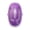 Purple, variant on Washable Reusable Gel Lint Roller for Pet Hair,Portable Mini Dog Cat Pet Hair Remover for Clothes,Laundries ,Dust Fuzz Fur -Sticky Cleaner- Small Travel Animal Fur Removal Tool (Green,3.93")