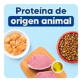 thumbnail image 4 of Croqueta Apawpacho Para Adulto De Raza Mediana Y Grande, 4 of 6