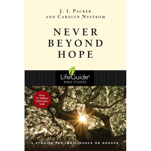 Pre-Owned Never Beyond Hope (Paperback) 1514005069 9781514005064