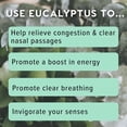 thumbnail image 5 of MOXE Nasal Stick Inhaler Eucalyptus Essential Oil Scent , 3 Pack, 5 of 7