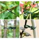 thumbnail image 4 of Bridas para plantas verdes ajustables Bridas para cables de jardín, para plantas de apoyo, organizador de cables de escritorio, 17 cm 150 piezas (verde), 4 of 5