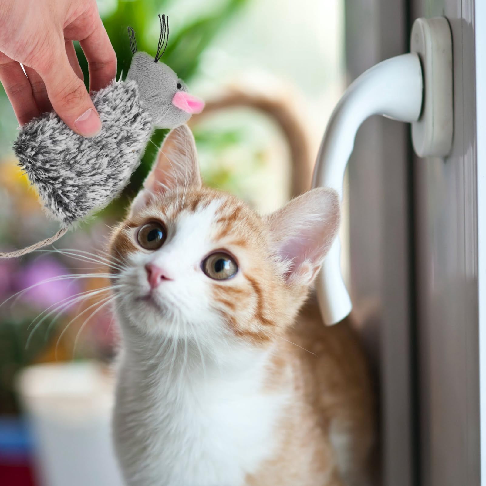 mirlewaiy 3pcs Refillable Catnip Toys for Cats, Refillable Catnip Cat Toy Teething for Puppie Kittens, Cartoon Doll for Kittens Teething and Playtime Fun