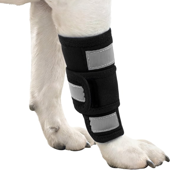 Kuoser Dog Front Leg Brace – Adjustable Carpal Support Wrap for Canine Joint, Wound Recovery & Anti-Licking Sleeve, Black, S/M