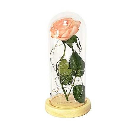 

Home Kitchen Romantic Immortal Flower Micro Landscape Rose Simulation Glass Shade Led Llight Class