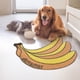 thumbnail image 3 of Puntoco Mantel individual de PVC con forma de fruta, antideslizante, flexible, resistente, decorativo para alimentos para mascotas, 3 of 5