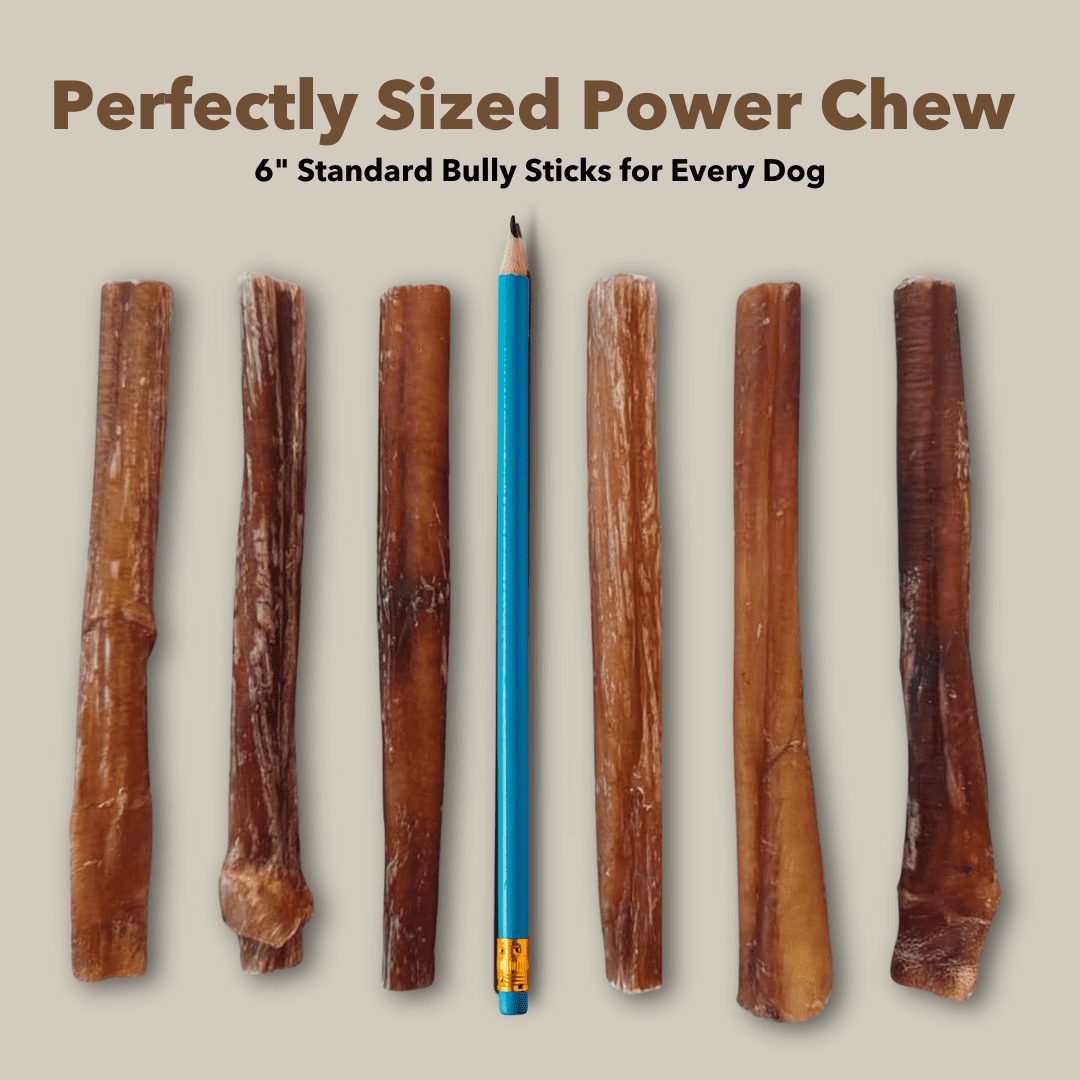 6" Standard Bully Sticks Display Box (100 ct) with Individual UPC Tags - 100% All Natural Beef