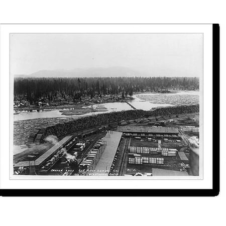 Historic Print, Decked logs, Red River Lumber Co., Westwood, Calif., 16" x 20"