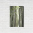 thumbnail image 3 of Luxe Metal Art 'Backlit Bamboo II' by Lori Deiter, Metal Wall Art, 24"x36", 3 of 9
