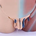 thumbnail image 2 of Herramienta De Enseñanza Médica De La Anatomía Modelo Anatómica Del Cuerpo  Del Torso De Los 45cm, Coleccionable Macarena Herramienta de enseñanza, 2 of 8