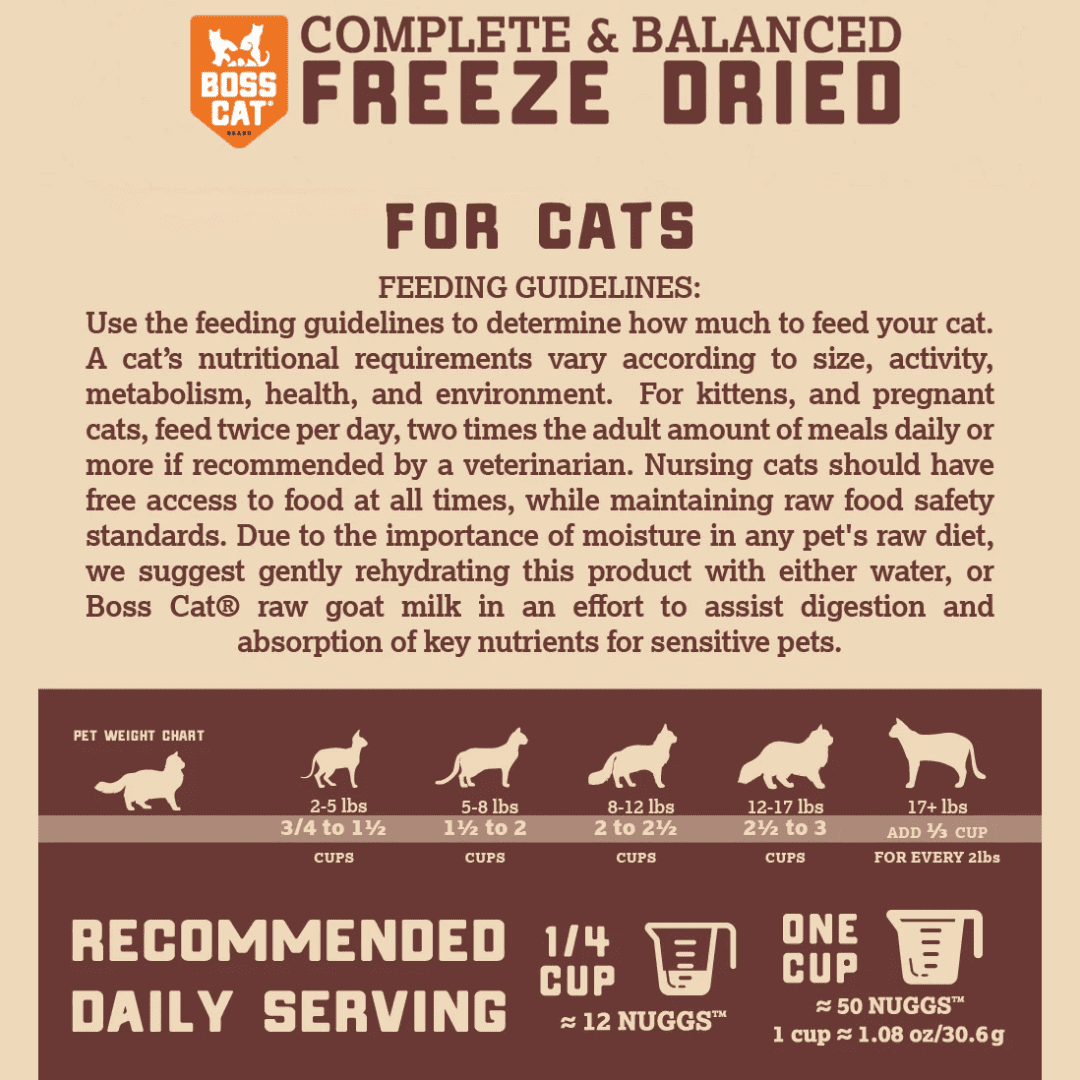 Boss Nation 850030579034 9 oz Freeze Dried 5 Turkey Cat Treat