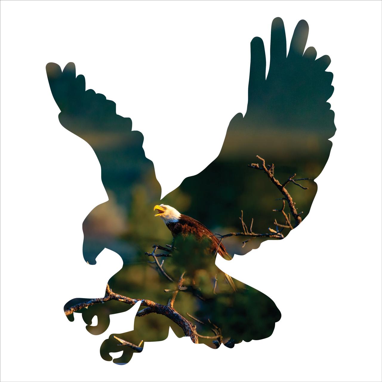 Precision Metal Art Flight Silhouette Metal Laser Cut Wall Art with