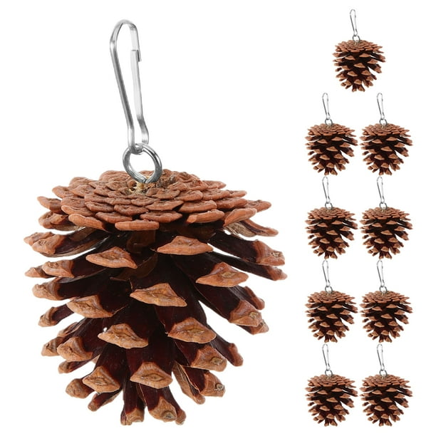 10 piezas de piñas naturales para masticar loros, accesorios para jaulas de pájaros, juguete para la dentición de loros, juguete para morder en jaulas de pájaros para pájaros pequeños y medianos