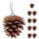thumbnail image 1 of 10 piezas de piñas naturales para masticar loros, accesorios para jaulas de pájaros, juguete para la dentición de loros, juguete para morder en jaulas de pájaros para pájaros pequeños y medianos, 1 of 7