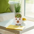 thumbnail image 5 of Flowerpots with Dish Ceramic, Animal Pot Ceramic Succulent Plant Pot Cactus Potted Planting Bonsai Pots Set, Flower Pots, 5 of 5