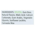thumbnail image 1 of Xlear - Spry Chewing Gum with Xylitol Fresh Fruit - 100 Piece(s), 1 of 4