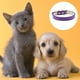 thumbnail image 3 of Collar de piel suave para perros: un collar para perros pequeños, medianos y grandes, 3 of 5