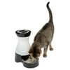 PetSafe Healthy Pet Water Station, Dog and Cat Water System with Stainless Steel Bowl, Small, 64 oz.