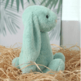 thumbnail image 6 of Kiewfjdk Bunny Easter Stuffed Animal Mint Green 10"– Soft Easter Bunny Plush Toys Long Ears, Cuddly Rabbit Plushies for Kids Adults Age 3+, Perfect Birthday & Easter Gifts, 6 of 9