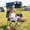 Blue, variant on Portable Folding Camping Recliner Chair with Canopy Shade, Foot Rest, Cup Holder & Cooler Bag, Outdoor Beach Chair for Fishing Sports Tailgating