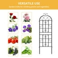 thumbnail image 4 of DWVO Metal Decorative Garden Fencing 4 Pack Black Trellis for Climbing Plants Vegetables Flower Plant Trellis for Outdoor Patio(19.7"×70.9"), 4 of 6