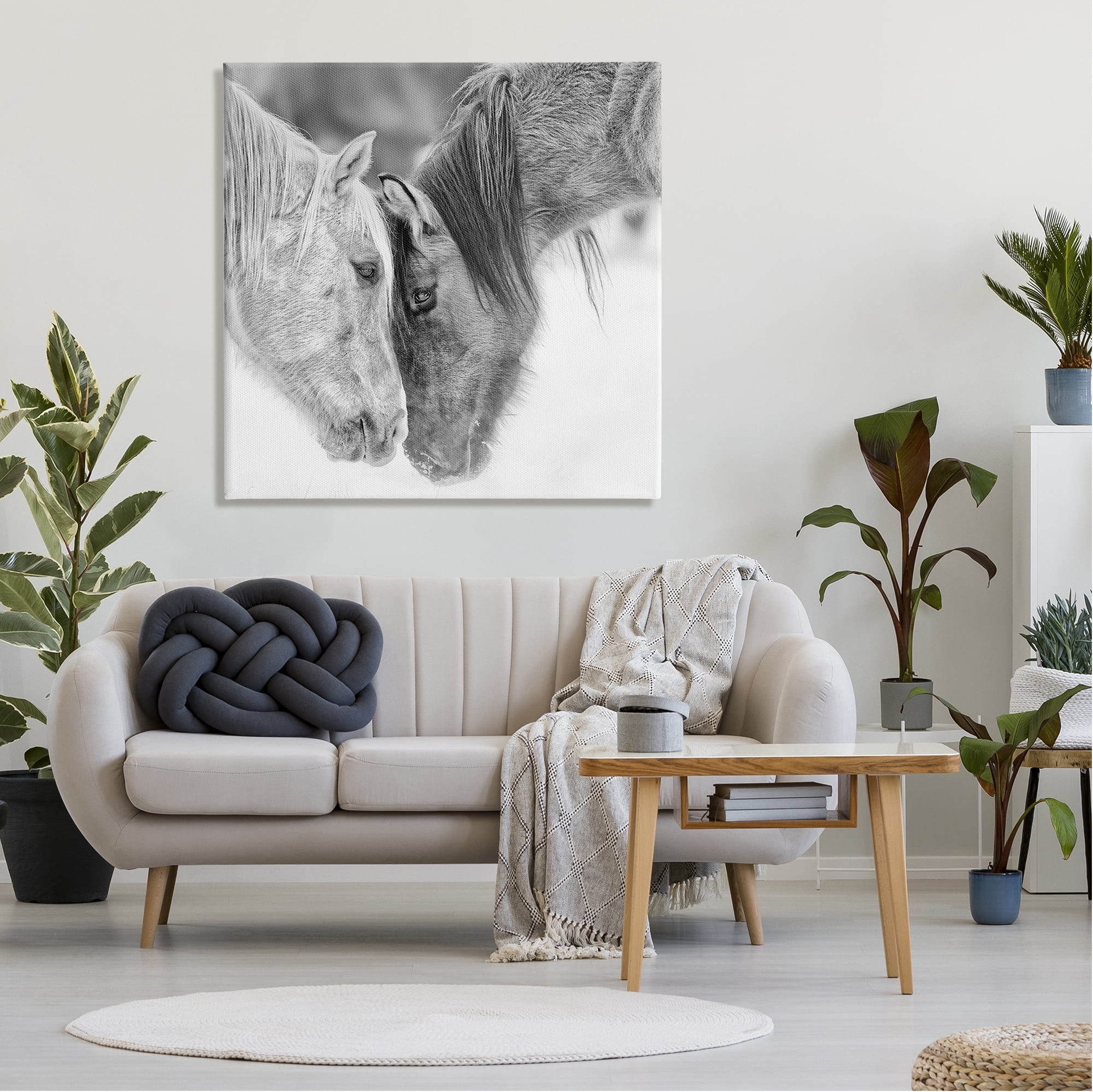 Stupell Industries Horse Hug Photography Animals & Insects Photography Gallery Wrapped Canvas Art Print Wall Art, 36 x 36