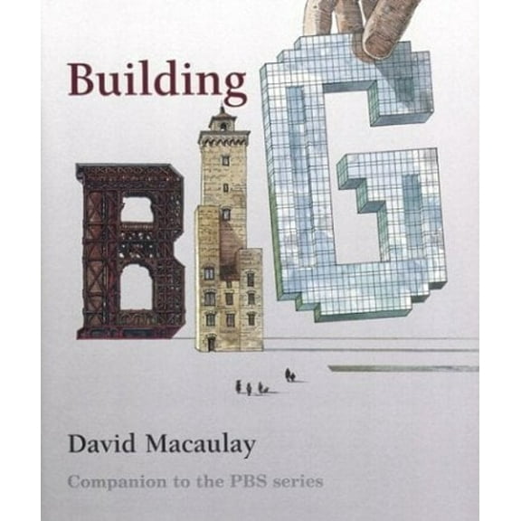 Pre-Owned Building Big (Hardcover) 0395963311 9780395963319