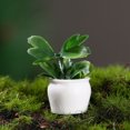 thumbnail image 2 of Planta bonsái en miniatura para casa de muñecas, diseño de casa de muñecas, decoración de plantas, modelo de planta en maceta de resina, 8 Uds., 2 of 6