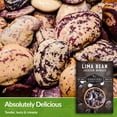 thumbnail image 2 of 2 Packs Jackson Wonder Lima Bean Seed - Non-GMO Heirloom Full Sun Annual Vegetable, 2 of 6