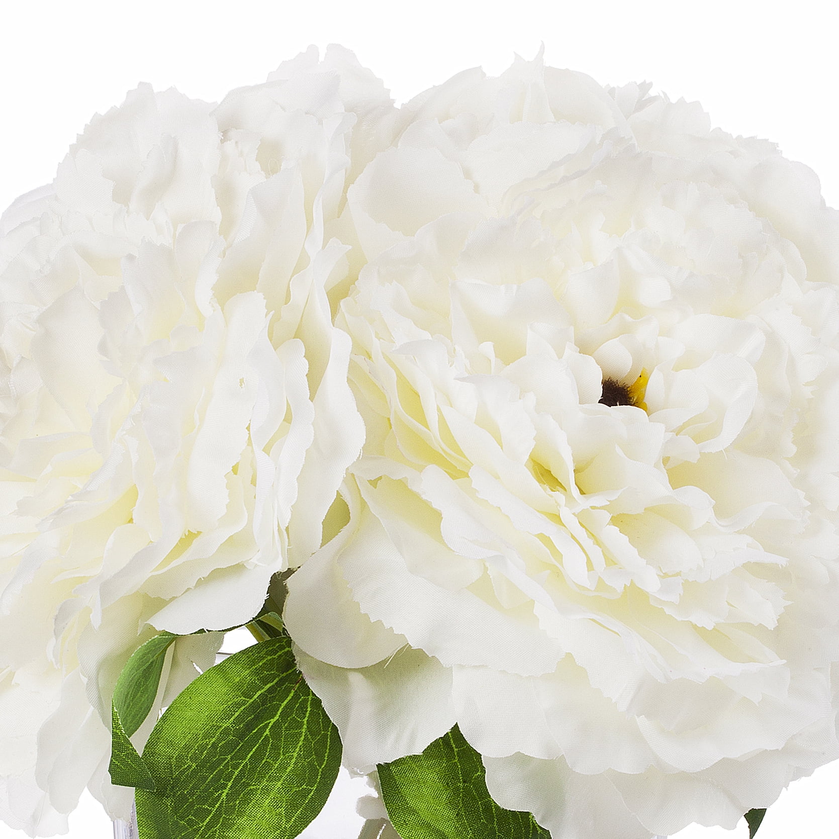Enova Home Artificial Silk 4 Large Peony in Cube Glass Vase, Artificial Fake Flower Arrangement  with Faux Water for Home Office Wedding Party Decoration (Cream)