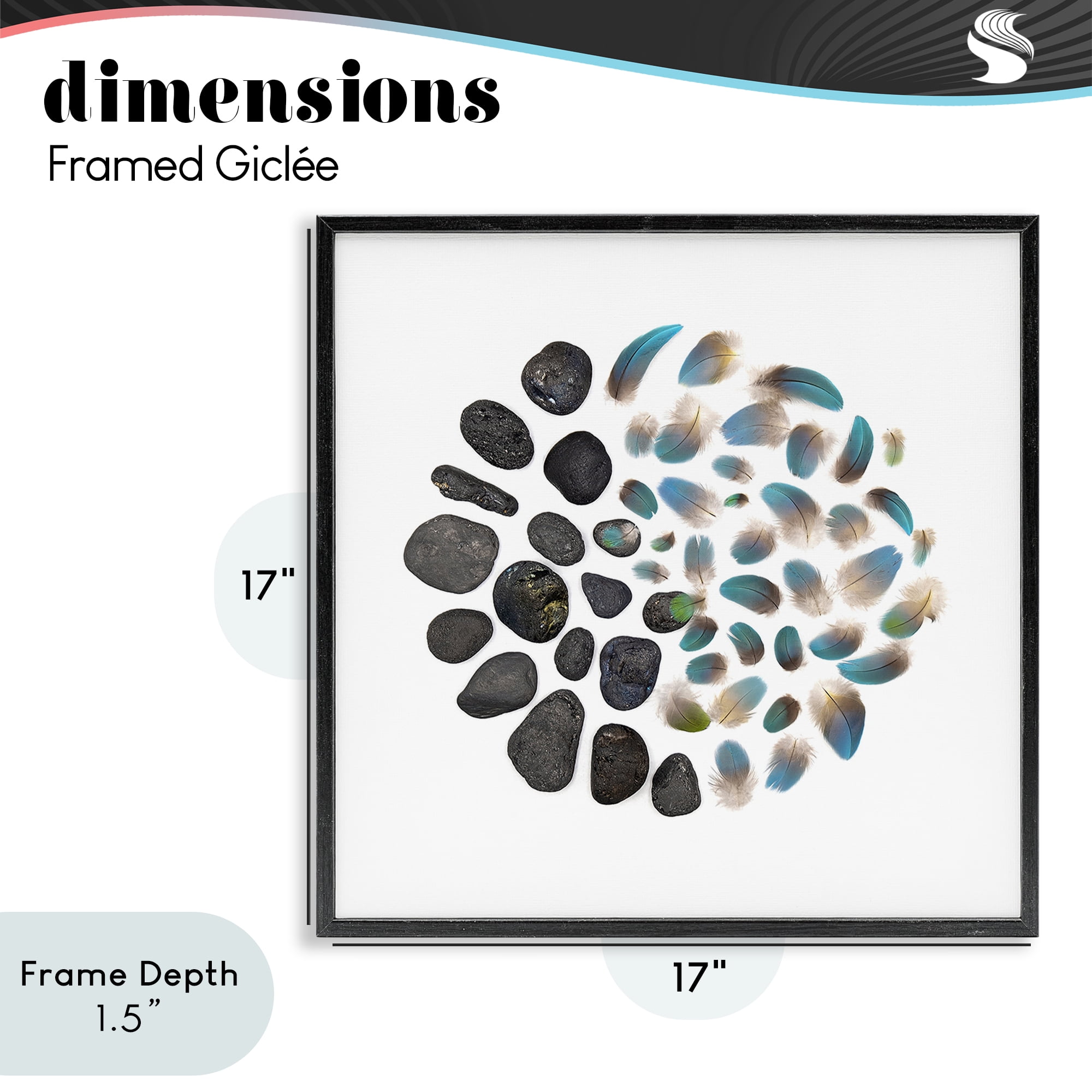 Stupell Industries Feathers & Rocks Collection Black Framed Giclee Art, design by Beth Adoette