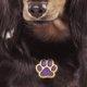 thumbnail image 3 of Etiquetas para mascotas en blanco jinwen colgante violeta, 3 of 5