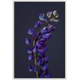 thumbnail image 3 of PixonSign Framed Canvas Print Wall Art Purple Skullcap Close-Up Botanical Plants Photography Realism Farmhouse/Country Colorful Multicolor Ultra for Living Room, Bedroom, Office - 16"x24" White, 3 of 5