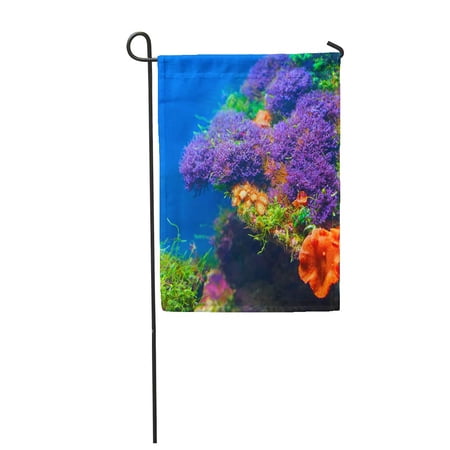 SIDONKU Green Sea Colorful Underwater Flora Blue Coral Color Garden Flag Decorative Flag House Banner 12x18 inch