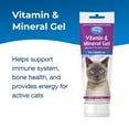 thumbnail image 2 of Suplemento en gel de vitaminas y minerales PetAg para gatos, 100 ml x2, 2 of 6