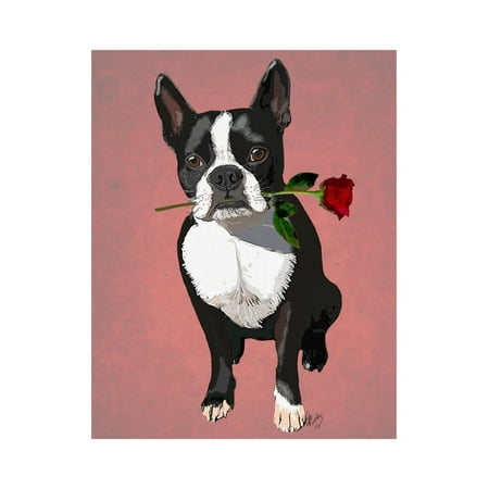 Boston Terrier Dog Art - Boston Terrier with Rose in Mouth Print Wall Art By Fab Funky