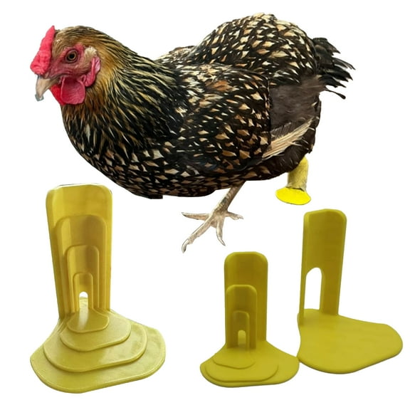 Taolixe 4Pcs/Set Chick Splay Leg Brace Hobble Splint Poultry First Aid Essential Duck Leg Splint for Baby Chicks Goslings And Juvenile Birds Clearance-Chick Leg Splint