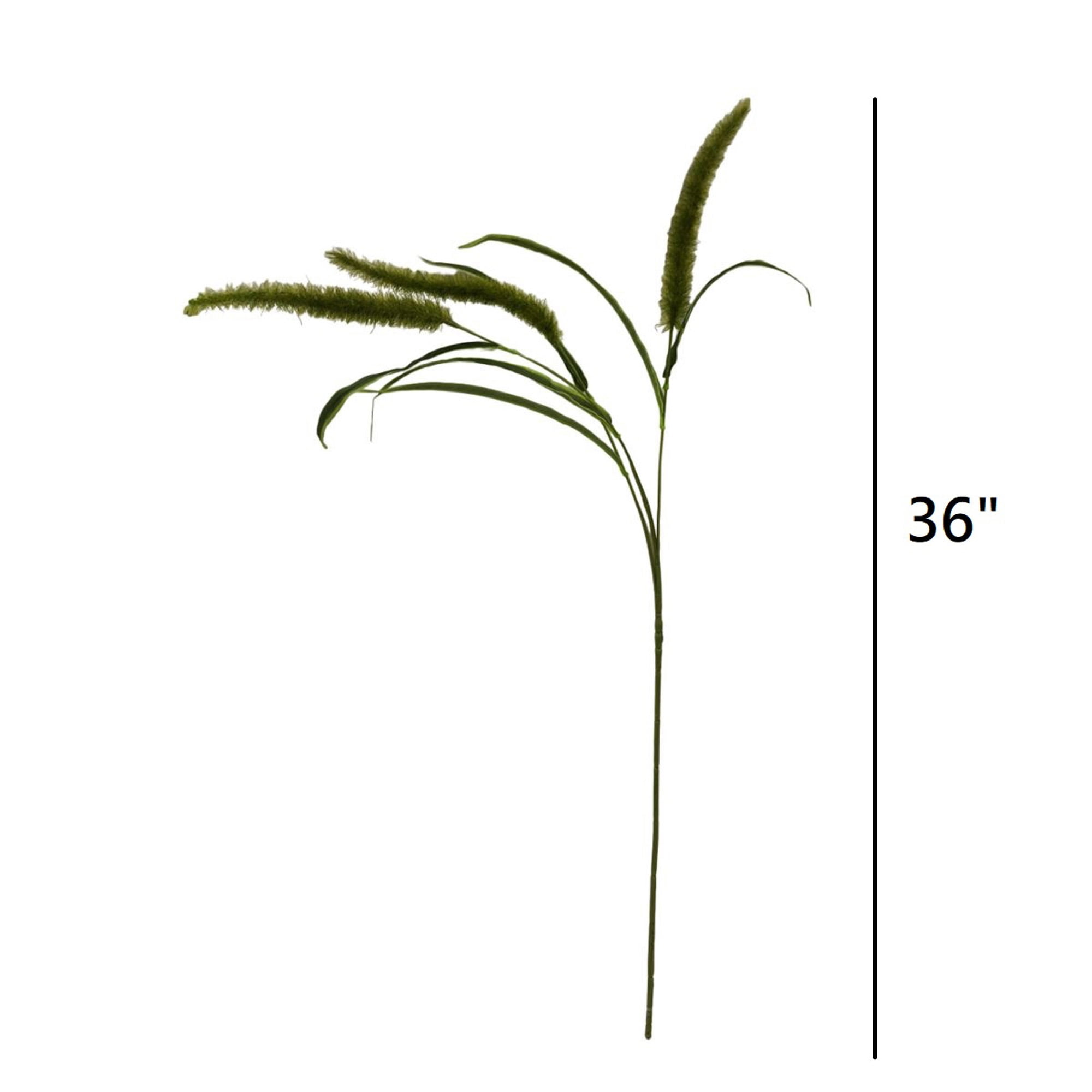 Mainstays 36" Artificial Green Dogtail Stem, Set of 12, Indoor Use