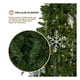 thumbnail image 2 of Árbol de Navidad Pino Canadiense Tipo Lápiz, Esquimal (Verde, 2.20 m), 2 of 6