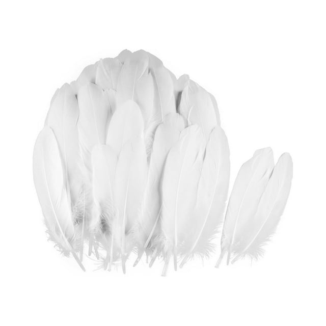 KLKCMS 100Pcs Crafts Feathers Faux Feather for Wedding Arrangements Cosplay Holiday White
